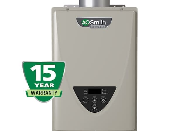 A.O. Smith Tankless Water Heaters at Lowe's: 20% off + free delivery