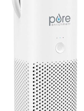 Pure Enrichment PureZone Mini Portable Air Purifier for $20 + free shipping w/ $99