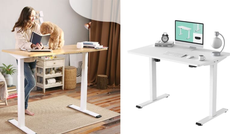 Flexispot Electric Standing Desk $169.99 With Coupon