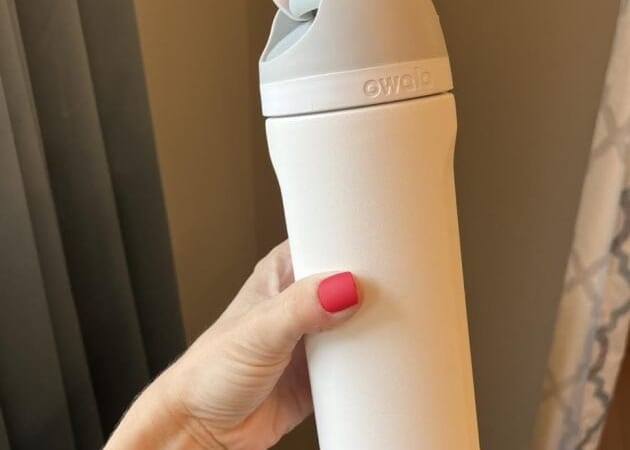 Owala FreeSip Insulated Stainless Steel Water Bottles as low as $21.23!