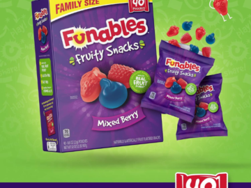 Funables 40-Count Mixed Berry Fruit Flavored Snacks as low as $5.84 when you buy 4 After Coupon (Reg. $11.49) + Free Shipping – 15¢/0.8 Oz Pouch