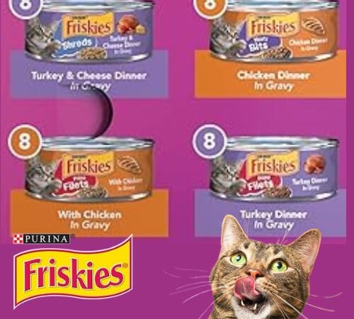 Purina Friskies Gravy Wet Cat Food, Poultry Shreds, 32-Pack as low as $16.87 After Coupon (Reg. $25.28) + Free Shipping – 53¢/Can