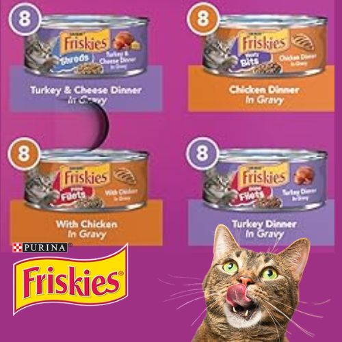 Purina Friskies Gravy Wet Cat Food, Poultry Shreds, 32-Pack as low as $16.87 After Coupon (Reg. $25.28) + Free Shipping – 53¢/Can