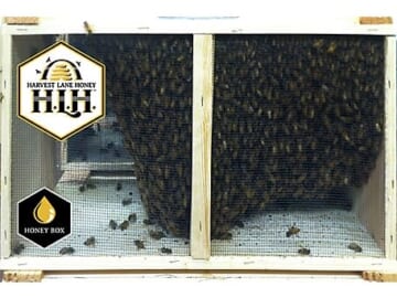 Harvest Lane Honey 3-lb. Package of Live Bees w/ Marked Queen for $230 + free shipping