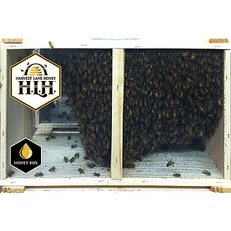 Harvest Lane Honey 3-lb. Package of Live Bees w/ Marked Queen for $230 + free shipping