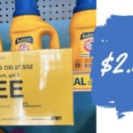 $2.50 Arm & Hammer Laundry Detergent, No Coupons Needed!