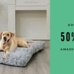 Amazon | 50% Off Large Dog Bed