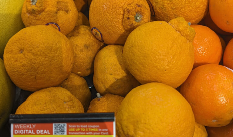 Sumo Citrus Just $1.49 Per Pound At Kroger