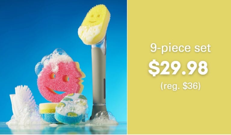 Scrub Daddy 9-Piece Dish Daddy Soap Wand $29.98 (reg. $36)