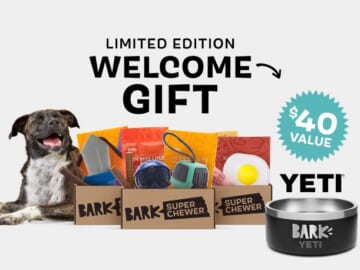 Free Yeti Bowl with New Bark Box Super Chewer Subscription