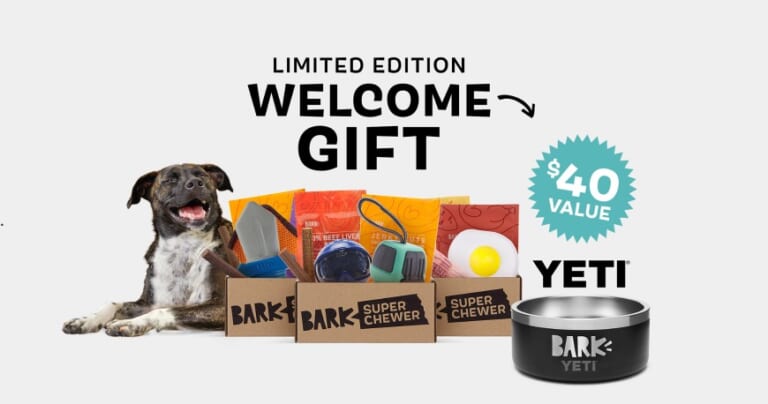 Free Yeti Bowl with New Bark Box Super Chewer Subscription