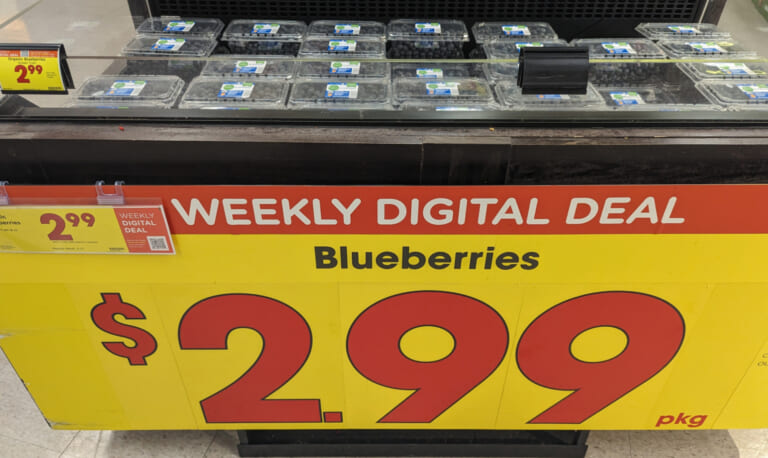 Get Big Containers Of Organic Blueberries As Low As $2.99 At Kroger