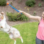 Up to 75% off ChuckIt! Dog Toys