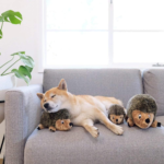 Outward Hound XL Hedgehogz Plush Dog Toy as low as $11.69 Shipped Free (Reg. $13)