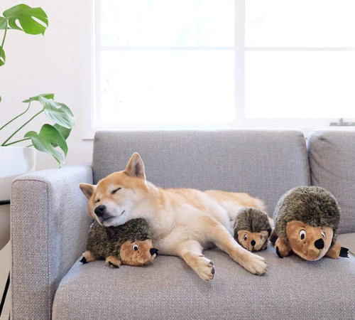 Outward Hound XL Hedgehogz Plush Dog Toy as low as $11.69 Shipped Free (Reg. $13)