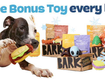 BarkBox 6-Month Super Chewer Subscription w/ Extra Toy Per Month for $29/Box