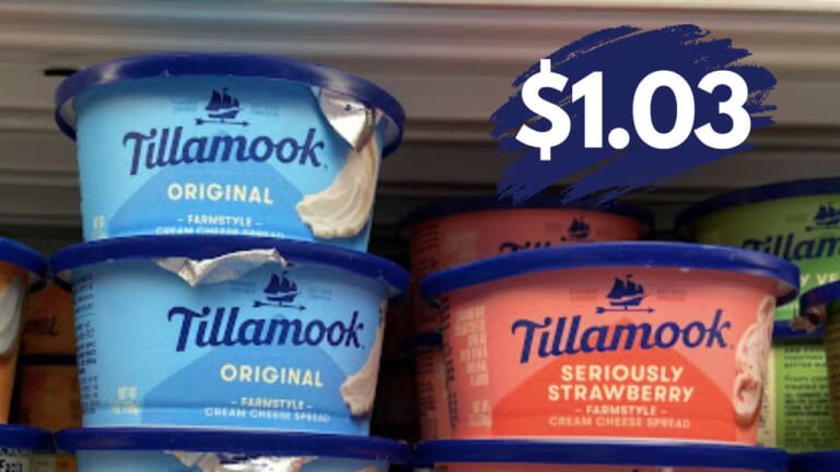 $1.03 Tillamook Cream Cheese | Deals at Publix & Kroger