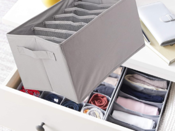 Amazon Basics 2-Pack Underwear Dresser Drawer Organizers $5.89 (Reg. $11) – $2.95 each