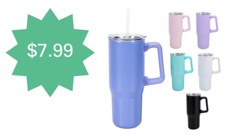 Woot! $7.99 Splash Stainless Steel 30-Ounce Travel Mug