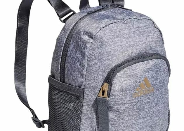 *HOT* Adidas Linear 3 Mini Backpack only $11.37 (Reg. $35!)