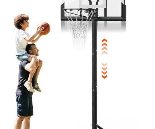 iFanze 10-ft. Portable Adjustable Basketball Hoop for $124 + free shipping