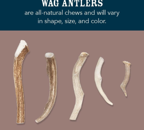 Wag Whole X-Large Elk Antler Dog Toy as low as $13.38 Shipped Free (Reg. $33)