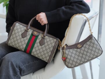The Bags Behind the Gucci Ophidia Collection