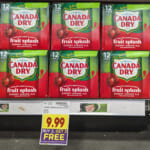 Canada Dry Fruit Splash Ginger Ale 12-Packs As Low As $3.50 Each At Kroger