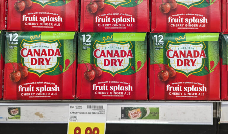 Canada Dry Fruit Splash Ginger Ale 12-Packs As Low As $3.50 Each At Kroger