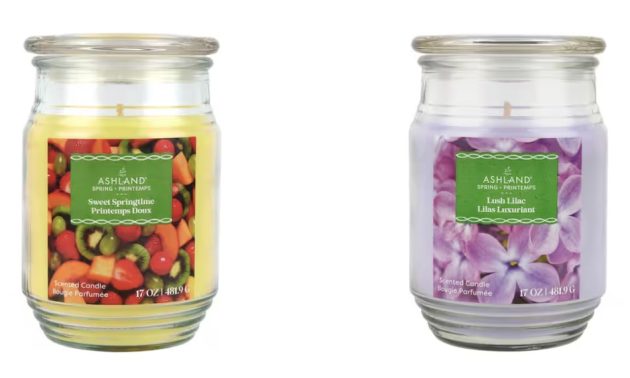 Spring Jar Candles only $2.49 at Michaels!