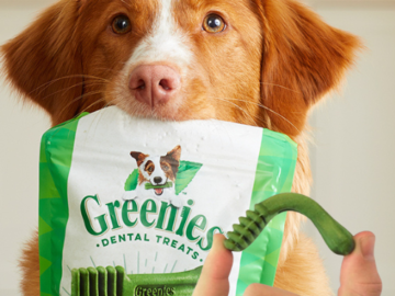 Greenies 96-Count Original Teenie Natural Dental Care Dog Treats as low as $23.09 After Coupon (Reg. $33) + Free Shipping – 24¢/Treat