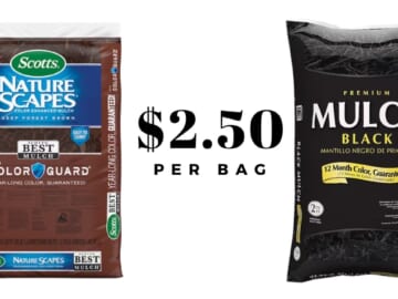 Lowe’s | $2.50 Bagged Mulch + Flower Deals