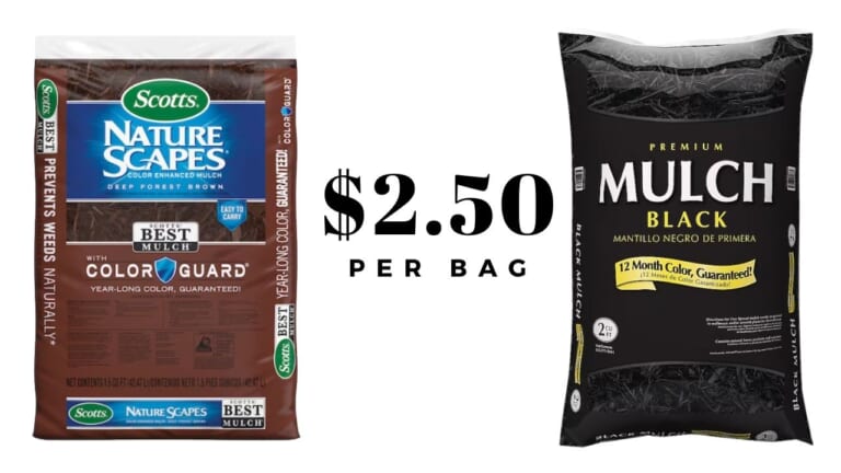 Lowe’s | $2.50 Bagged Mulch + Flower Deals