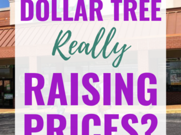 Dollar Tree Prices Changing