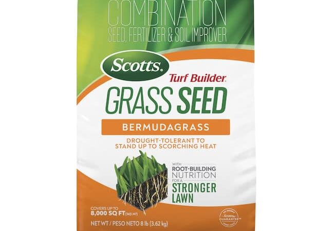 Scotts Turf Builder Bermuda Grass Seed 8-lb. Bag for $60 + free shipping