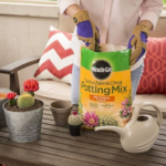 Miracle-Gro 2-Pack Cactus, Palm & Citrus Potting Mix $10.46 (Reg. $16) – $5.23/Pack